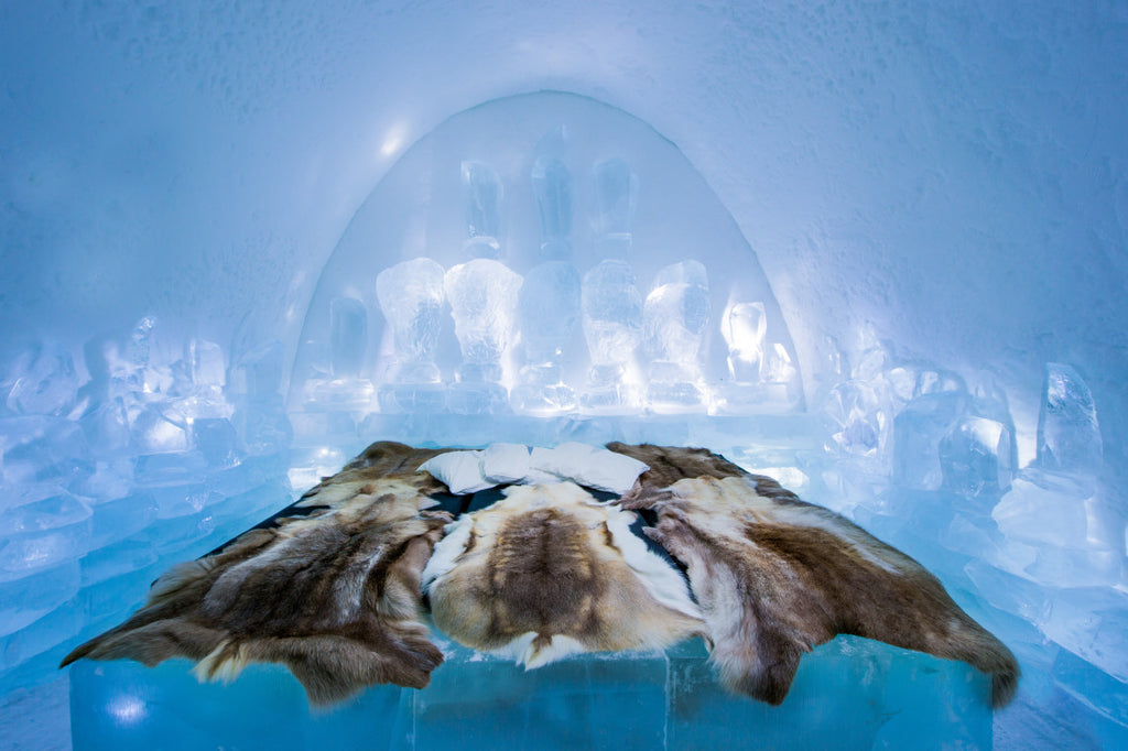 SK Field Trips: Icehotel