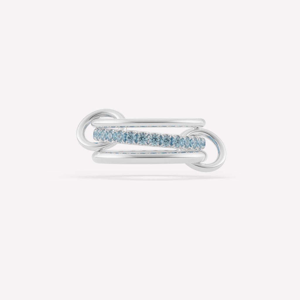 Petunia Silver Aqua (VIP)